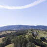 Top Paddock