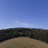 Lower Paddock