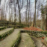 Trivale Park in the Autumn
