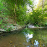 Pool in the wood