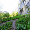 Prohodna cave
