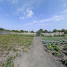 Dzerzhinsk