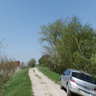 Dub Panorama