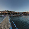 Sharks Bay