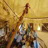 Araceli at aerial tramoya, Misteri of Elche