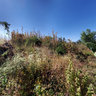 Vista a Zacapu