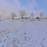 Sleigh-riding in Fürth-Stadeln