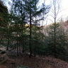 Greys Arch in Red River Gorge, Kentucky