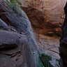 Spring in Mystery Canyon
