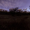 Albuquerque Bosque - 1 Hour Prior to Dawn