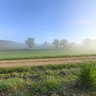 Foggy morning in fall