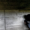 Low-life under the shelter