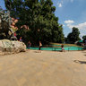 The Dragon of Wawel Hill