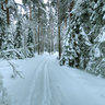 winter