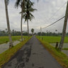 Karangrejo Rice Field