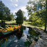 Chihuly At Cheekwood