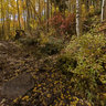 Maroon Bells Hiking Trail