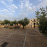 Torremayor