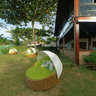 Bar of Coconuts Hotel