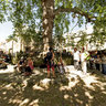 Fêtes médiévales 2010 - L'arbre de la liberté, planté le 30 mars 1797.