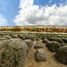 Hunstanton Rocks at Low Tide