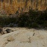France Ardeche Salavas Rieussec Bush