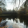 Krebsteich