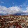 Chilkat Pass