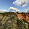 Exmouth Cliffs in Devon