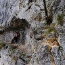 The Nerei Gorges (1)