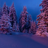 Wunderbarer Abend neben der Skipiste in Straja