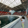 The Dolphinarium in Varna