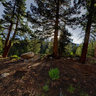 Hope Valley, California