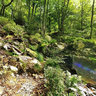Vallée De La Hoegne