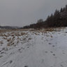 Under Milesovka