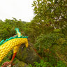 Flying Dragon - Tsz Hing Monastery 慈興寺飛龍仔