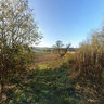 Cambusnethan Priory - From Behind