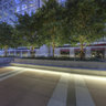 Down Town Miami Tree