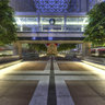 Down Town Miami Tree