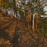 . Sylva. View from Stone Ermak 1