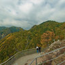 Poenari Castle