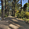 Huerto del Cura (Elche)