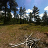 Uinta National Forrest