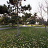 Alaaddin Tepesi