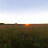 in the field near Koza village, jul2010