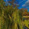 Park Kadriorg Japanese Garden