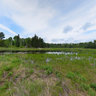Springtime on a open field in Killarney Provincial Park, Ontario Canada