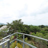 Buena Vista, Panama