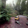 Site 38, Jedediah Smith Redwood State Park Campground