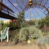 Spider Web, Desert Botanical Gardens, Phoenix